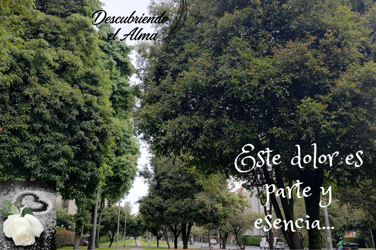 No es solo recuerdo, es el cambio que transforma lo que sientes, al final, se trata de aceptar esa forma invisible que el tiempo no puede borrar.