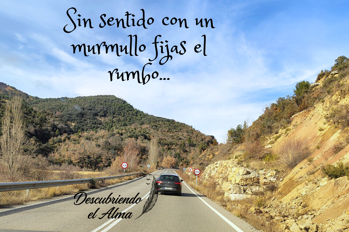 Nos preocupamos por darle sentido a todo en medio de una absorbente realidad...